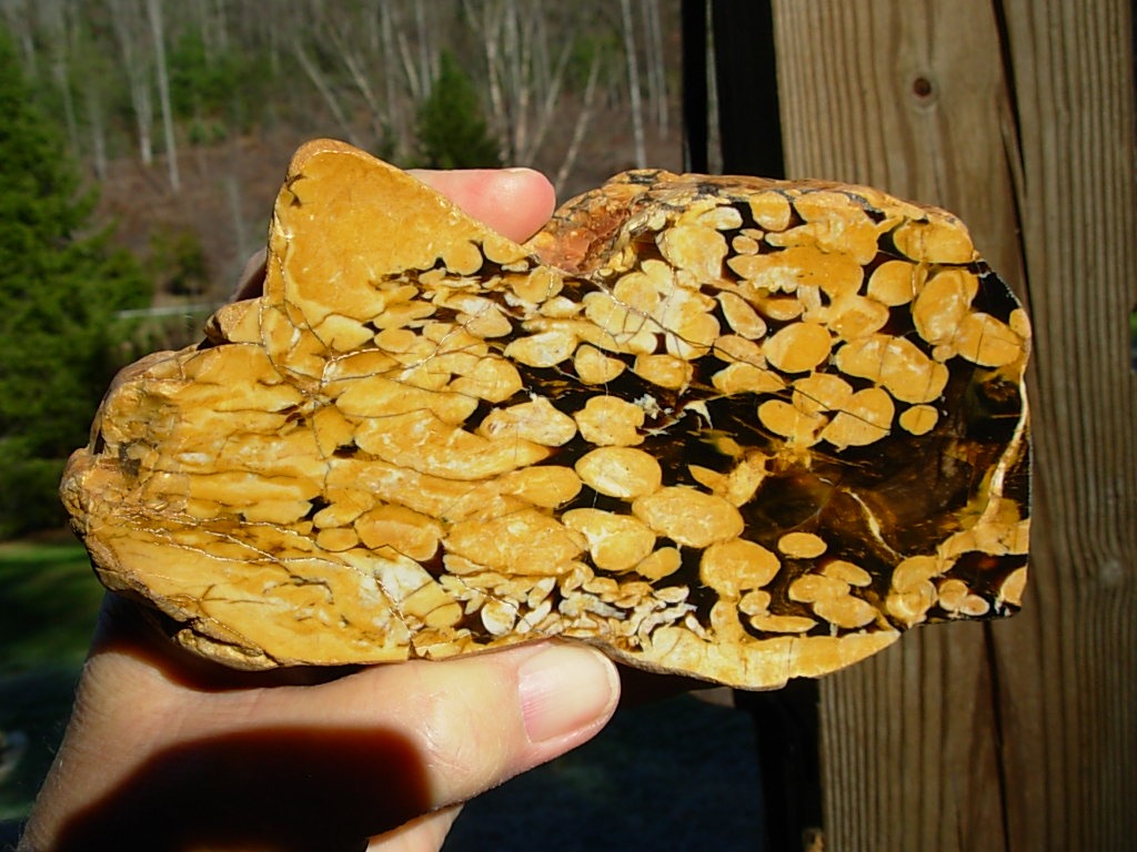 1.23 lb Polished Face Thick Peanut Wood DisplaySlab