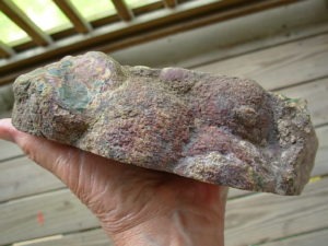 Polished Face Rhyolite from the Pacific NorthWest