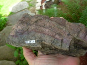 Polished Face Rhyolite from the Pacific NorthWest
