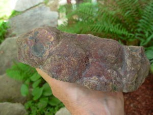 Polished Face Rhyolite from the Pacific NorthWest