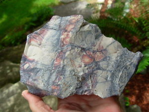 Porcelain Jasper Rough from Mexico