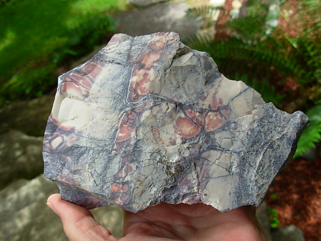Porcelain Jasper Rough from Mexico