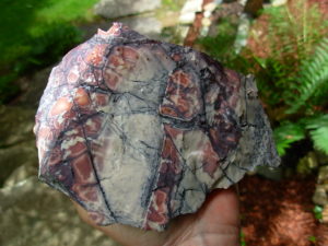 Porcelain Jasper Rough from Mexico