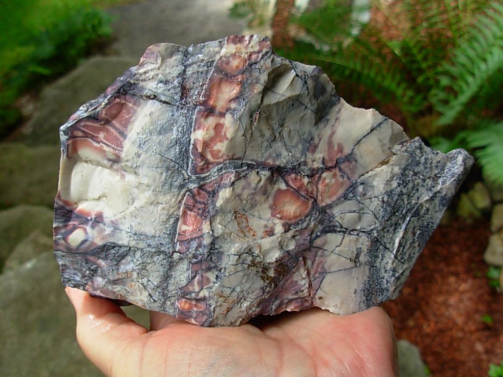 Porcelain Jasper Rough from Mexico