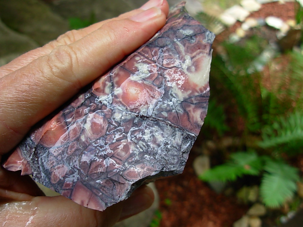 Porcelain Jasper Rough from Mexico