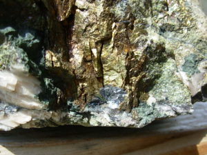 Large Rough Stock Specimens