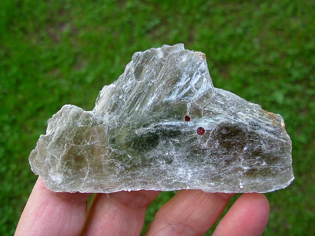 Garnetsa in Muscovite