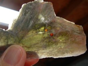 Garnetsa in Muscovite