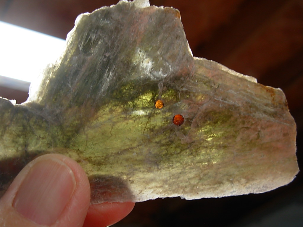 Garnetsa in Muscovite