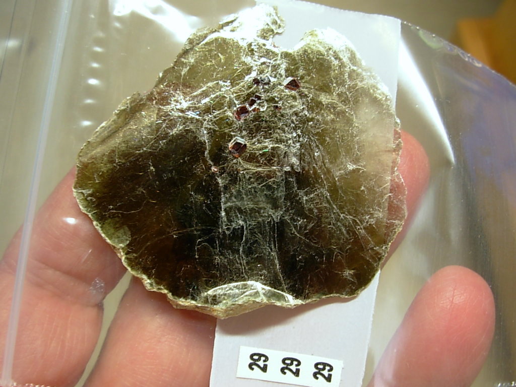 Garnetsa in Muscovite