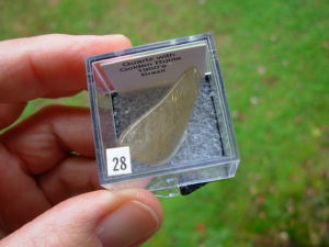 Quartz with Golden Rutile