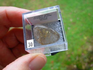 Quartz with Golden Rutile