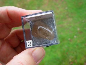 Quartz with Golden Rutile