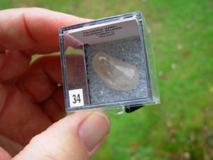 Quartz with Golden Rutile