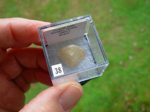 Quartz with Golden Rutile