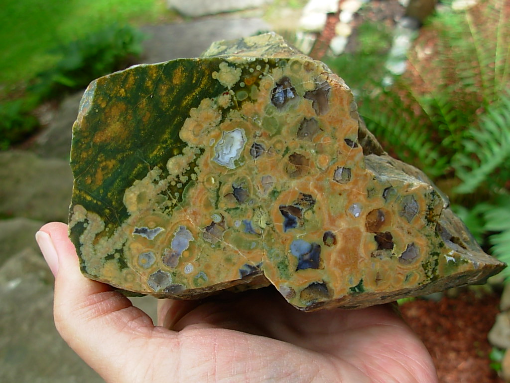 Rain Forest Jasper from Australia