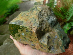 Rain Forest Jasper from Australia