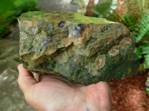 Rain Forest Jasper from Australia