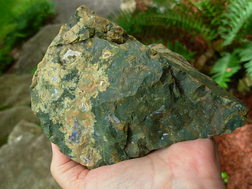 Rain Forest Jasper from Australia