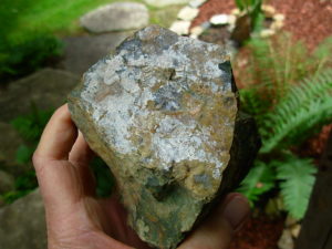 Rain Forest Jasper from Australia