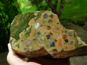 Rain Forest Jasper from Australia