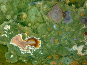 Large Rough Stock Specimens