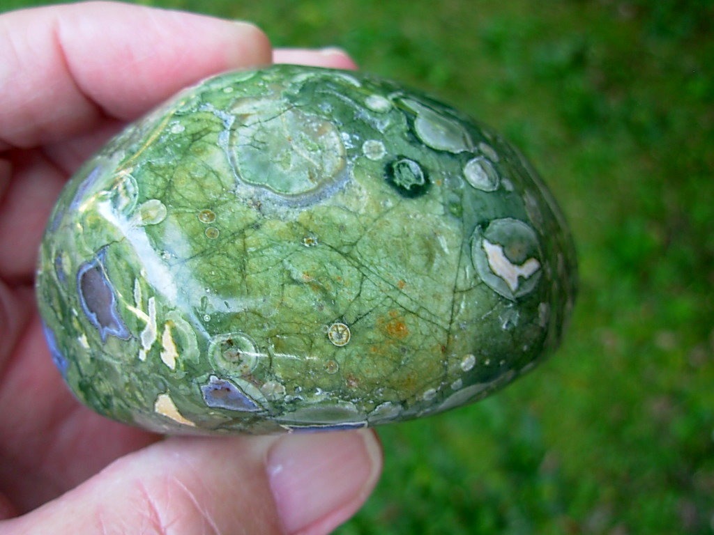 Polished Rain Forest Jasper Nodule from Australia