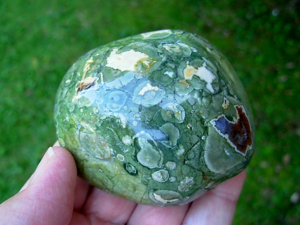 Polished Rain Forest Jasper Nodule from Australia