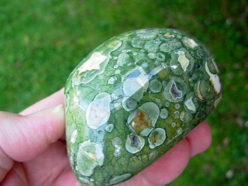 Polished Rain Forest Jasper Nodule from Australia