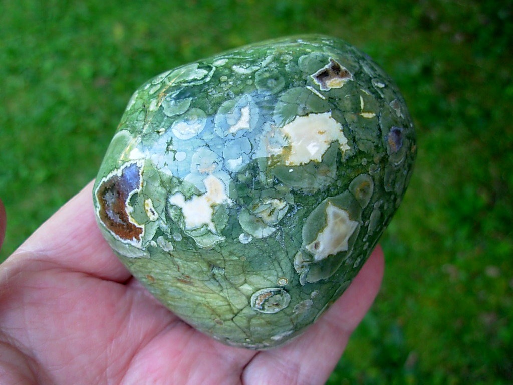 Polished Rain Forest Jasper Nodule from Australia