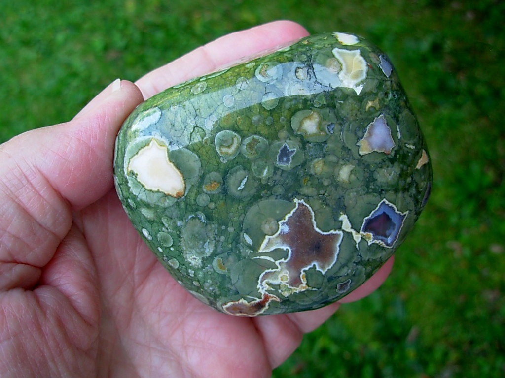 Polished Rain Forest Jasper Nodule from Australia
