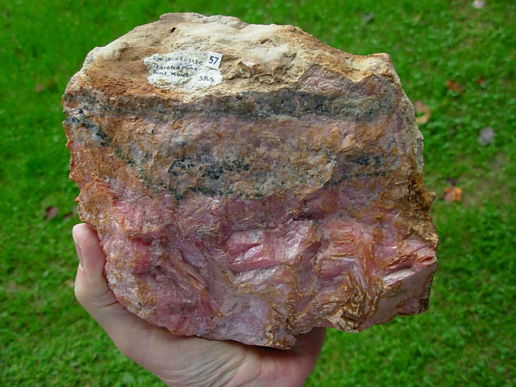 Large Cabinet Rhodochrosite from the Travona Mine