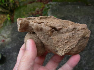 Rare Sahara Desert Concretion