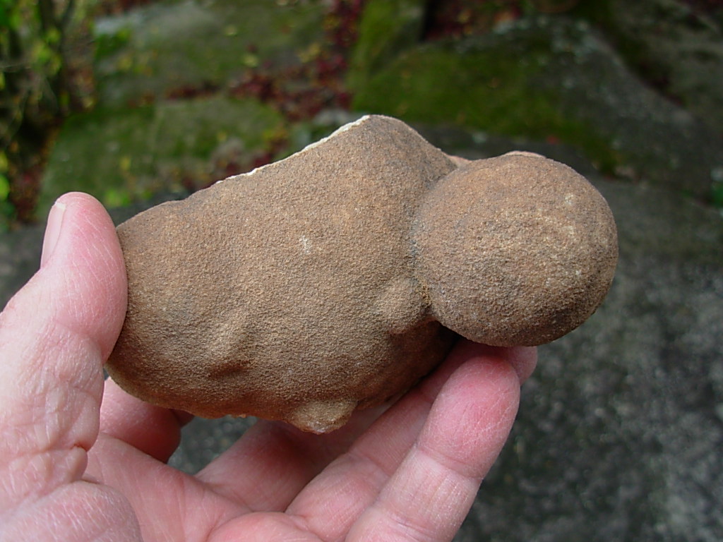 Rare Sahara Desert Concretion