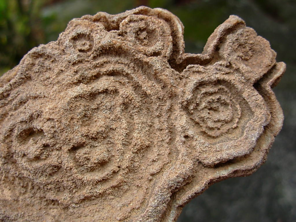 Rare Sahara Desert Concretion