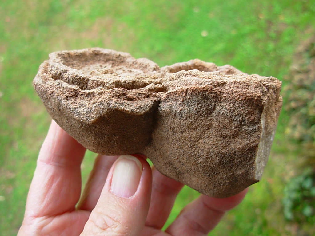 Rare Sahara Desert Twin Concretion