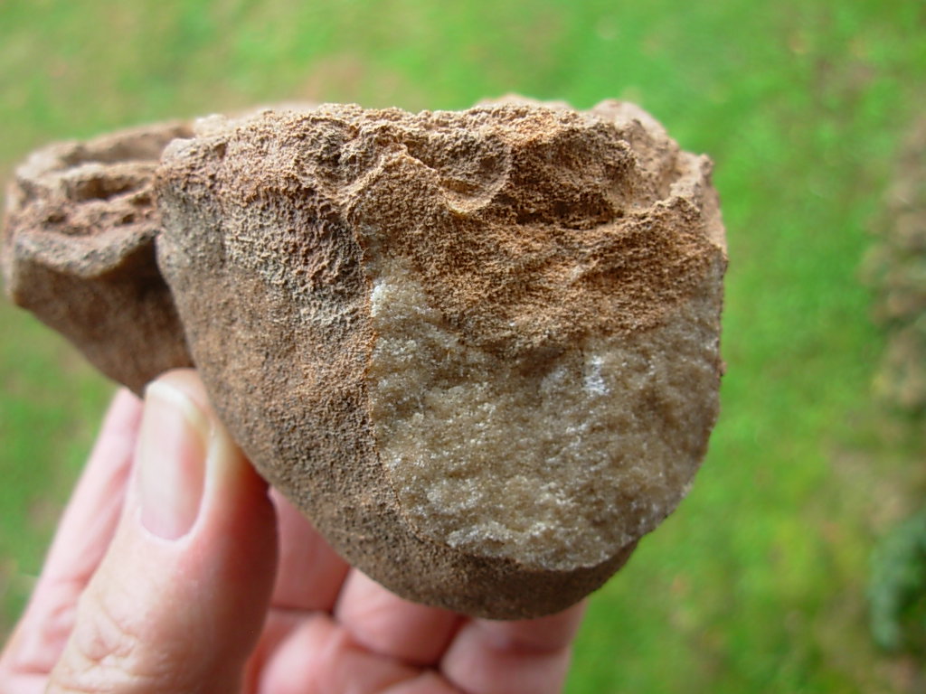 Rare Sahara Desert Twin Concretion