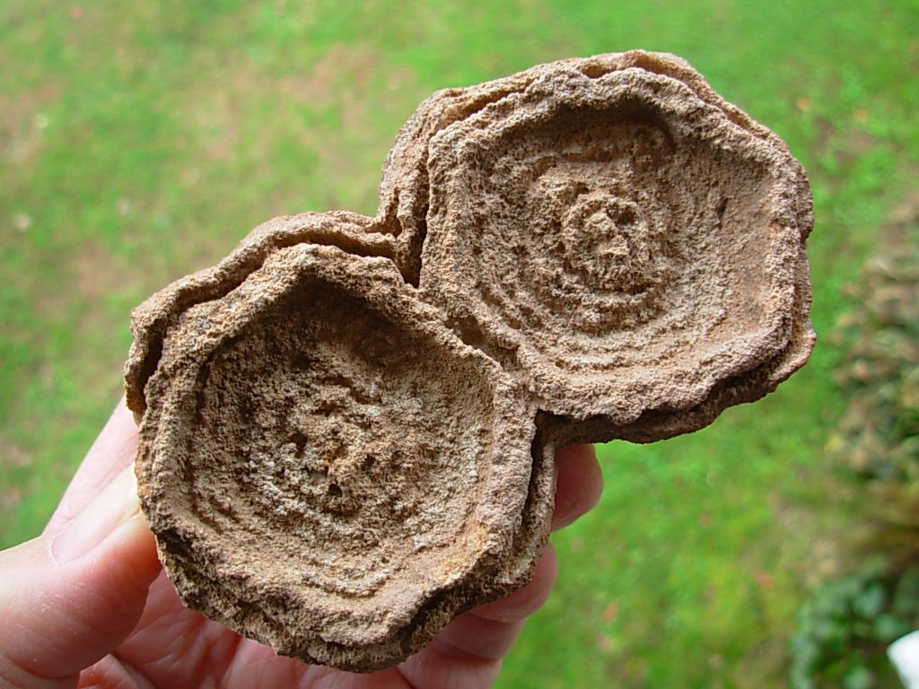Rare Sahara Desert Twin Concretion