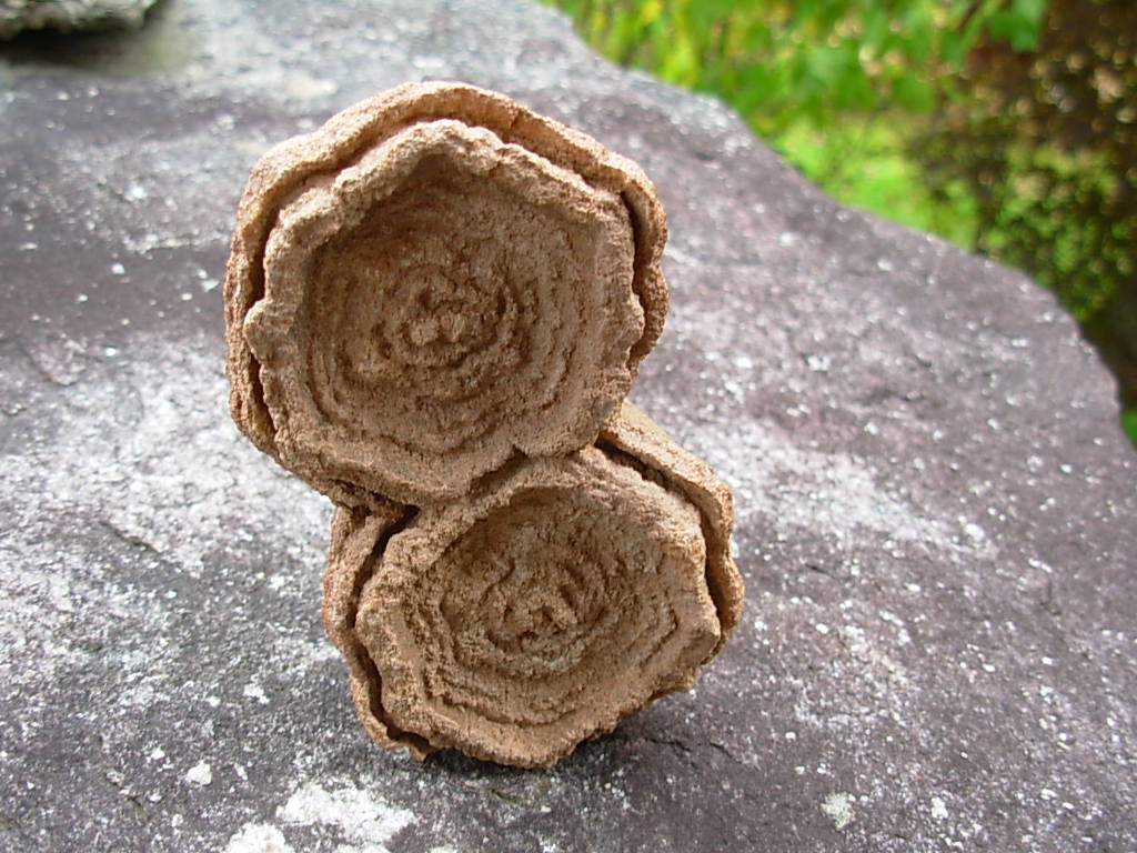 Rare Sahara Desert Twin Concretion