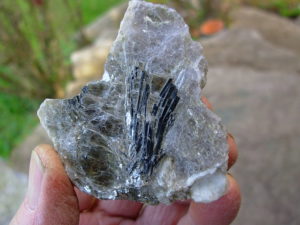 Rare N.C. Classic Tourmaline var. Schorl Crystals on Mica on matrix of Albite with Columbite