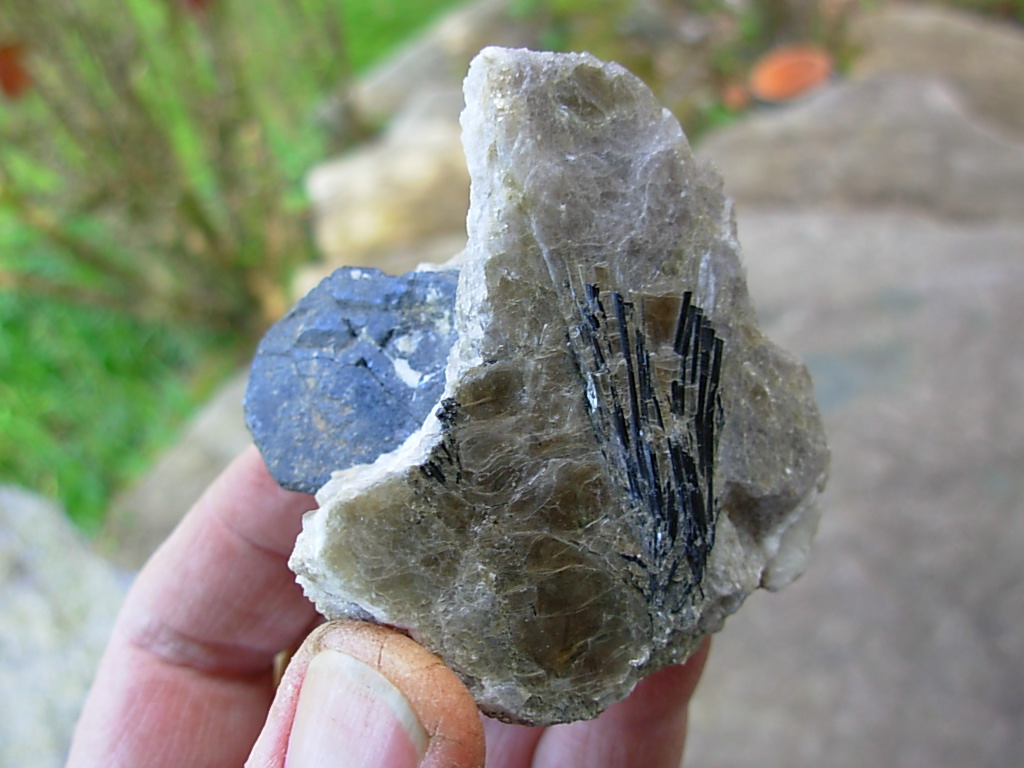 Rare N.C. Classic Tourmaline var. Schorl Crystals on Mica on matrix of Albite with Columbite