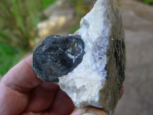 Rare N.C. Classic Tourmaline var. Schorl Crystals on Mica on matrix of Albite with Columbite