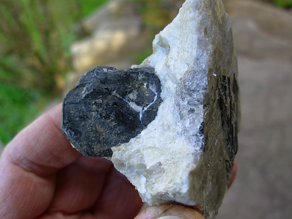 Rare N.C. Classic Tourmaline var. Schorl Crystals on Mica on matrix of Albite with Columbite