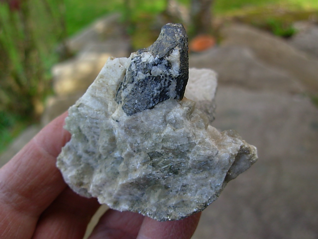 Rare N.C. Classic Tourmaline var. Schorl Crystals on Mica on matrix of Albite with Columbite