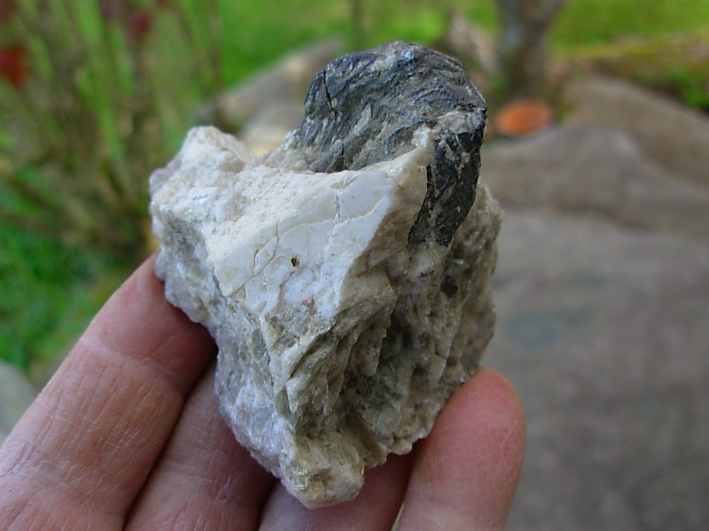Rare N.C. Classic Tourmaline var. Schorl Crystals on Mica on matrix of Albite with Columbite