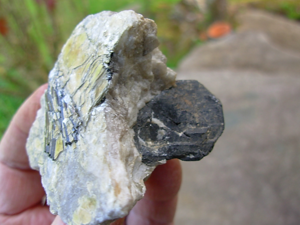 Rare N.C. Classic Tourmaline var. Schorl Crystals on Mica on matrix of Albite with Columbite
