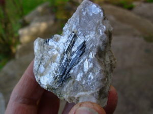 Rare N.C. Classic Tourmaline var. Schorl Crystals on Mica on matrix of Albite with Columbite