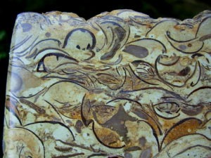 Wisconsin Fossil Rock