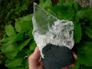 Selenite Chard on Cathedral Base from Brazil