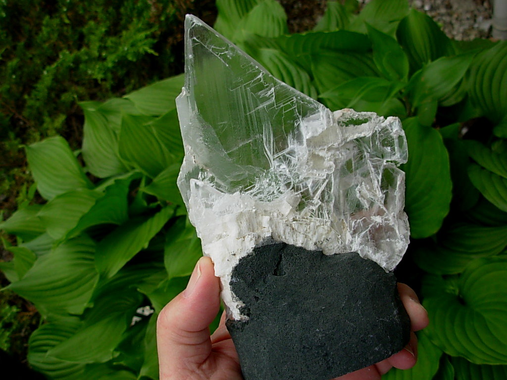 Selenite Chard on Cathedral Base from Brazil